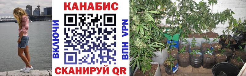 Купить наркотик аптеки Назрань Alpha-PVP  Марихуана 