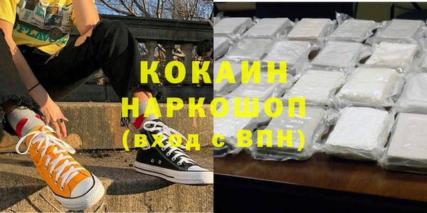 прущие грибы Касимов
