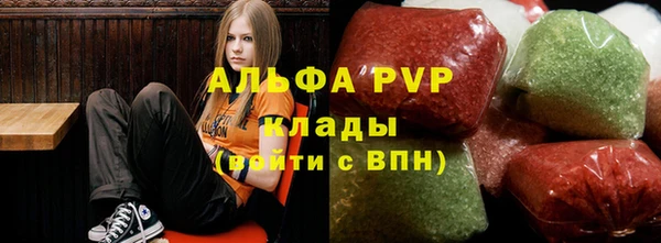 прущие грибы Касимов